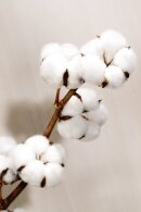 Mey - Organic Top - Bio Bomuld - Skin Mey - Organic Top - Bio Bomuld - Skin