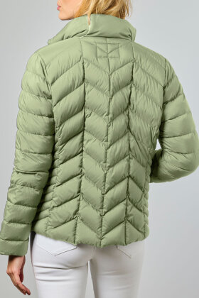 Junge - Daisy Letdun - Mat Finish - Grøn